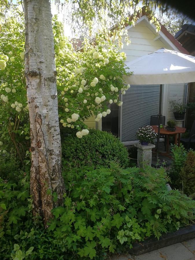 Maizon Middelburg Bed & Breakfast Екстериор снимка